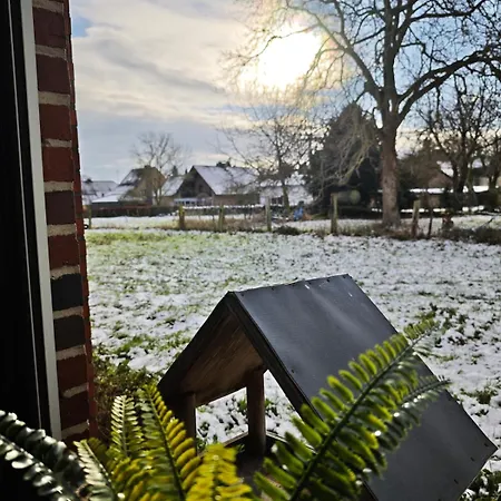 Fuer 6 Personen Und 2 Hunde Inklusive Ueberdachter Terrasse * لينيش