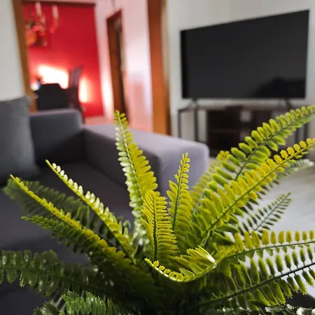 Fuer 6 Personen Und 2 Hunde Inklusive Ueberdachter Terrasse