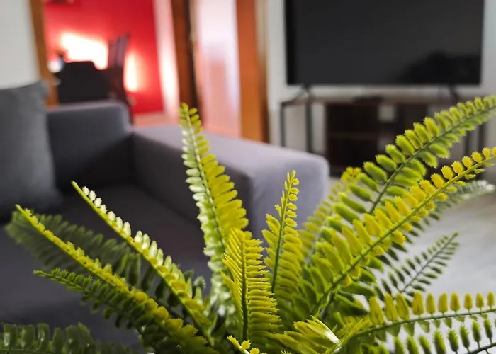 Fuer 6 Personen Und 2 Hunde Inklusive Ueberdachter Terrasse